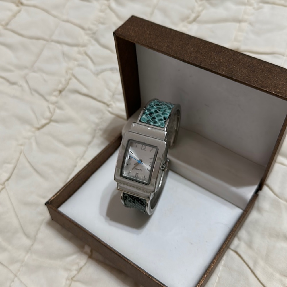 Ladies Watch *needs battery     Silver w/ black & green snake print band